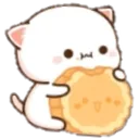 pp803 pp803