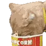 PopcornCat
