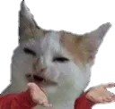 xU_TfisThat xU_TfisThat