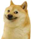 CG_Doge