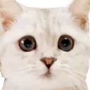 LouisSad