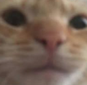 ch_hestare Discord emoji