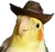 yeehaw_birb yeehaw_birb