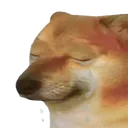 Cheemkhok