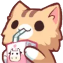 Catsip