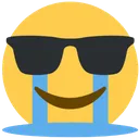sobglasses