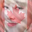 dongsmirkcanadian