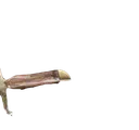 zulfikar3