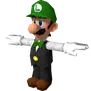 luigitpose luigitpose