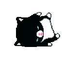 kittyroll