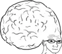 bigbrain