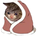 sniff