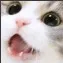 rar