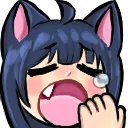 yawnkitty
