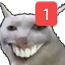 weshpinged