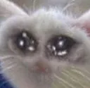 catcrying