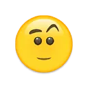 Eyebrowraised