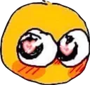 bv_teehee