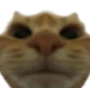 swagstare swagstare