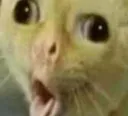 LAV_ChokingCat Discord Emoji