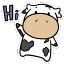 moohi