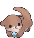 otter