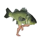 fishWalk