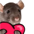 hyperratL