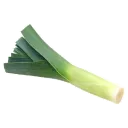 Noleaks