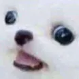 wat