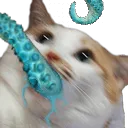 TentyCat