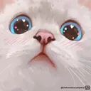 tlWholesomeCatNani
