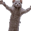 Dance Cat dancecat Discord Emoji