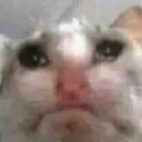 sourcat