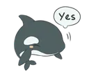 orcasayingyes