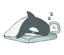 orcasleeping