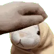 katupet katupet