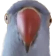WhatDoing