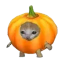 Pumpkin Cat PumpkinCat Discord Emoji