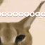 floppa2 Discord emoji