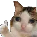 Sadcatokay Discord Emoji