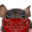 hyperratG