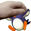 kelliplat