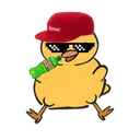 coolduck