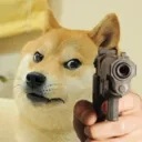 shut