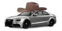 haudi