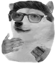Doge_bruh Doge_bruh