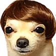 bozeOk