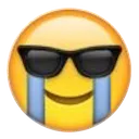 sobglasses