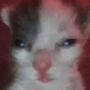 ch_stfu Discord emoji